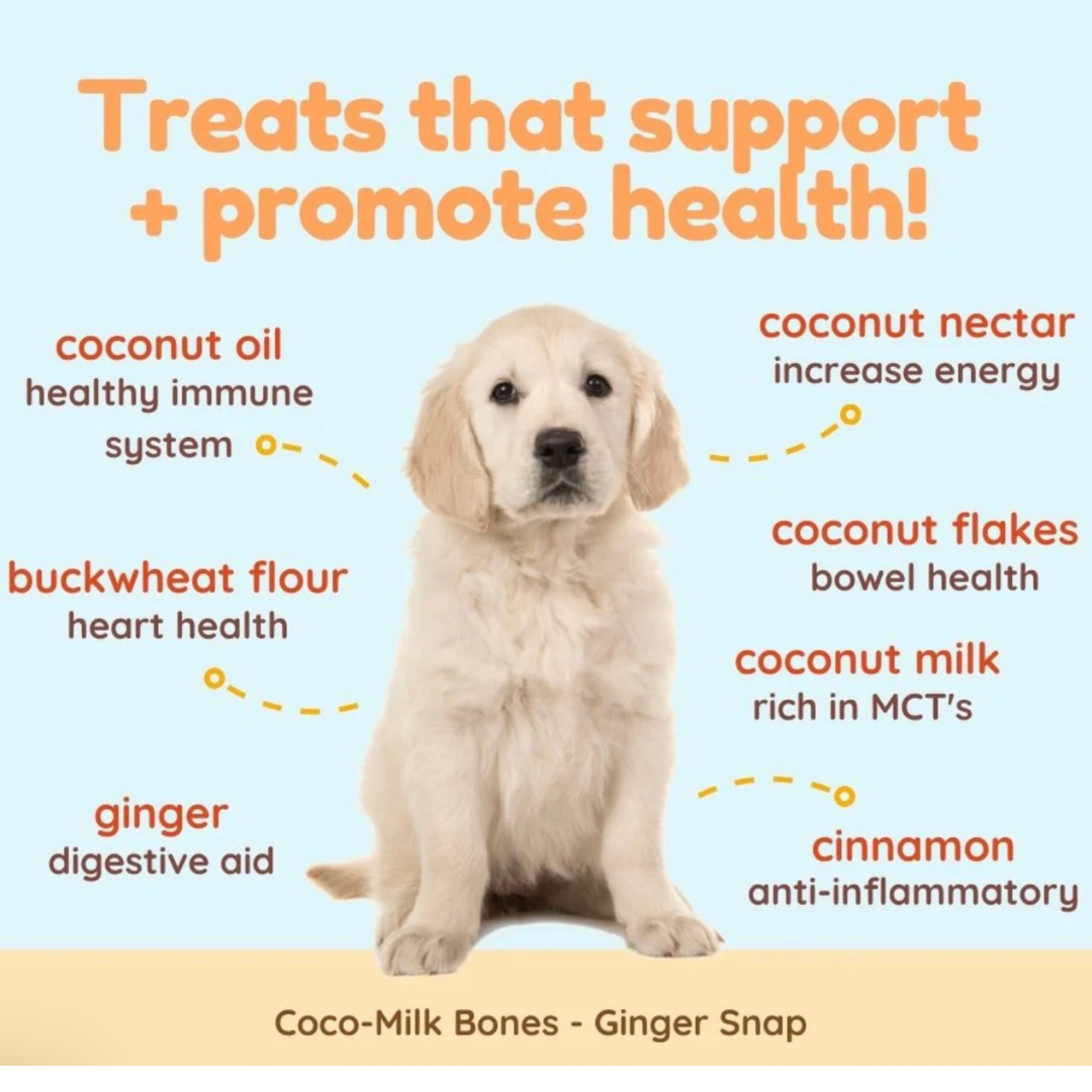 CocoTherapy Coco-Milk Bones | Ginger Snaps