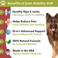 Wholistic Pet Organics Joint Mobility GLM | Natural Whole-Food Joint Support With Green Lipped Mussel, Glucosamine & MSM