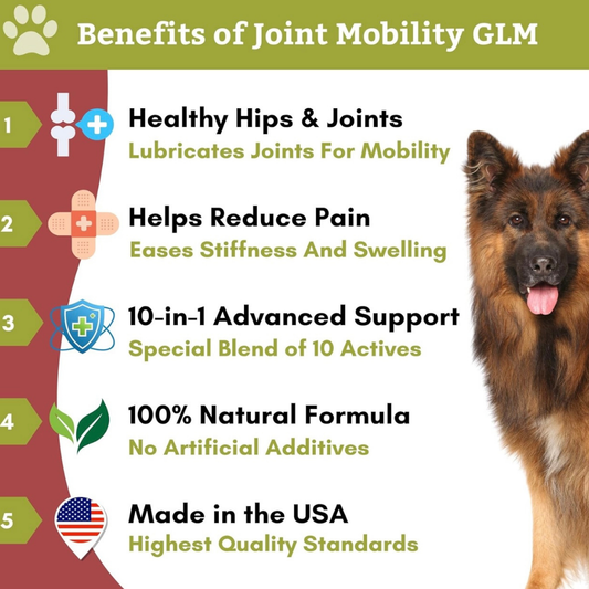 Wholistic Pet Organics Joint Mobility GLM | Multivitamin + Joint Support + Green Lipped Mussels