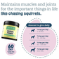 Mussel Power | Natural Freeze-Dried Green Lipped Mussel Joint Support