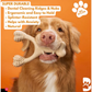 BetterBone Natural Dog Chew | Hard
