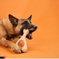 BetterBone Natural Dog Chew | Hard