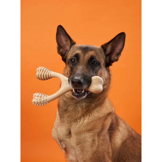 BetterBone Natural Dog Chew | Hard