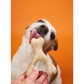 BetterBone Natural Dog Chew | Hard