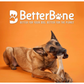 BetterBone Natural Dog Chew | Hard