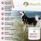 Wholistic Pet Organics Digest-All Plus | Natural Digestive Enzymes, Probiotics & Prebiotics