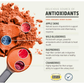 Four Leaf Rover Red Rover | Organic Berry Blend for Immune + Antioxidant Support