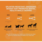 BetterBone Natural Dog Chew | Hard