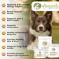 Wholistic Pet Organics Ester C | Advanced Vitamin C + Immune Support