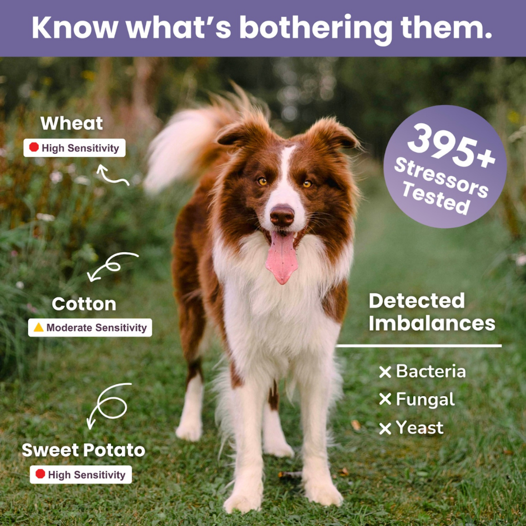 Glacier Peak Intolerance Test | Natural Sensitivity Assessment