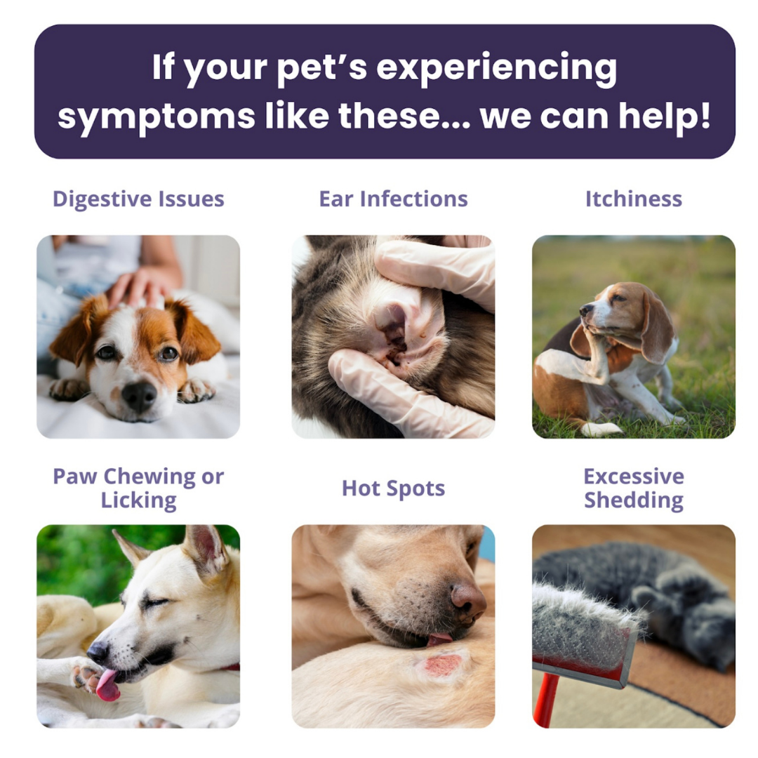 Glacier Peak Intolerance Test | Natural Sensitivity Assessment