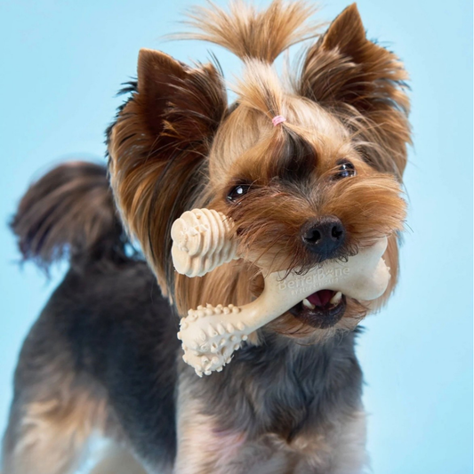 BetterBone Natural Dog Chew | Soft