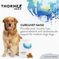 ThorneVet CurcuVET | Natural Inflammation Support + Joint Health