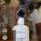 ION* | Soil-Derived Supplement for Gut Health + Toxin Defense + Nutrient Absorption