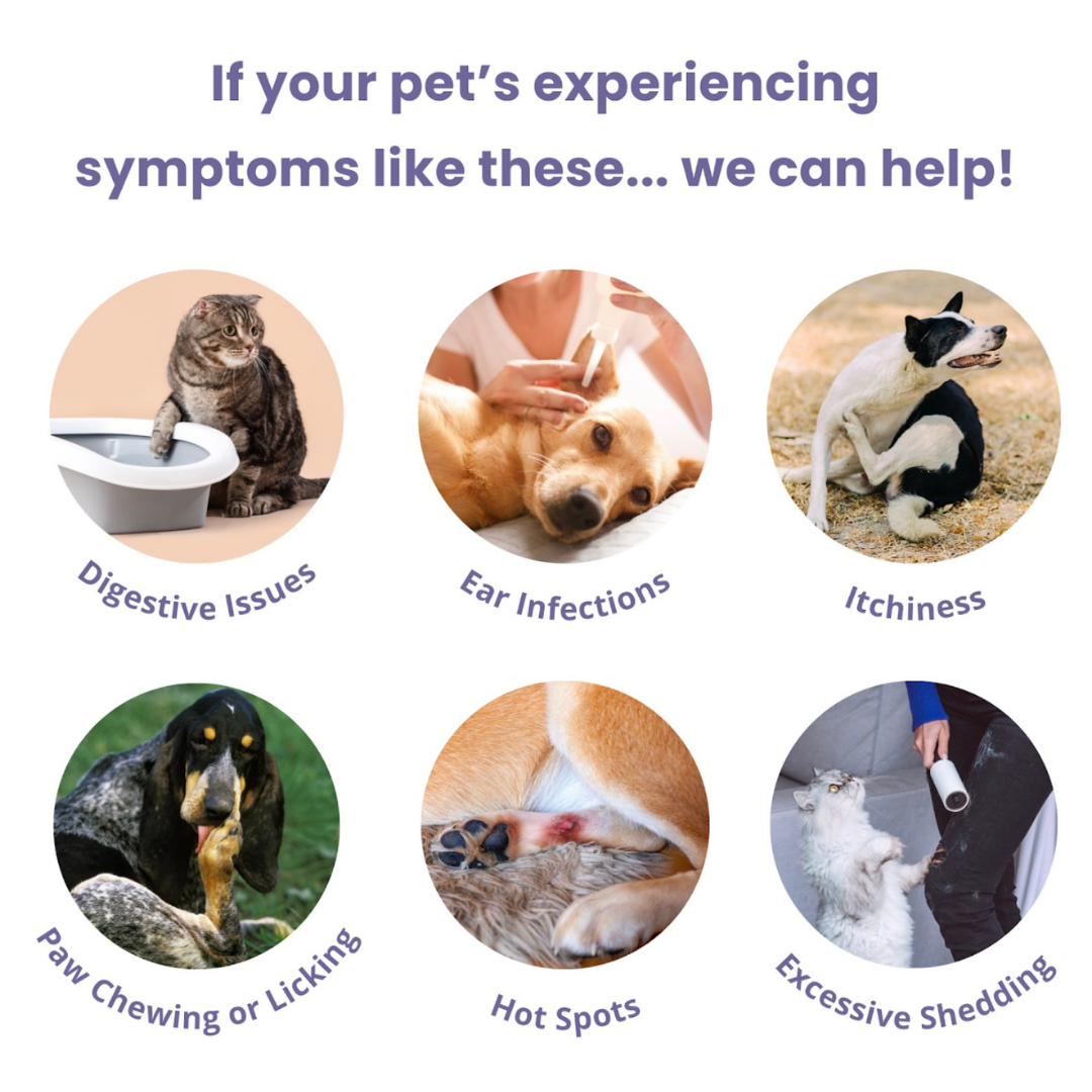 Glacier Peak Intolerance Test | Natural Sensitivity Assessment