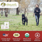 Wholistic Pet Organics Run Free | Natural Targeted Joint Support With Glucosamine, Chondroitin & MSM