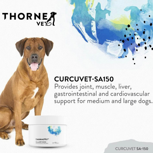 ThorneVet CurcuVET | Natural Inflammation Support + Joint Health