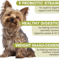 Wholistic Pet Organics WholeBiotics | Natural 9-Strain Probiotic + Prebiotic