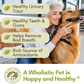 Wholistic Pet Organics WholeCran Intense | Organic Cranberry for Urinary Tract Health