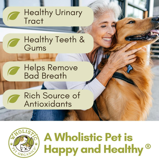 Wholistic Pet Organics WholeCran Intense | Natural Urinary Tract + Kidney Support