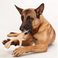 BetterBone Natural Dog Chew | Medium