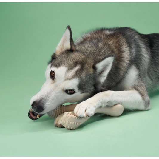 BetterBone Natural Dog Chew | Medium