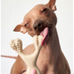 BetterBone Natural Dog Chew | Medium