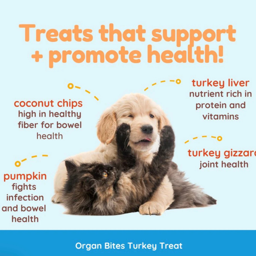 Cocotherapy Organ Treats | Turkey + Pumpkin