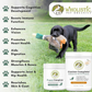 Wholistic Pet Organics Canine Complete | Organic Whole-Food Multivitamin for Dogs, With Enzymes & Probiotics