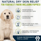 Organic Hemp Shampoo | Dry + Sensitive Skin