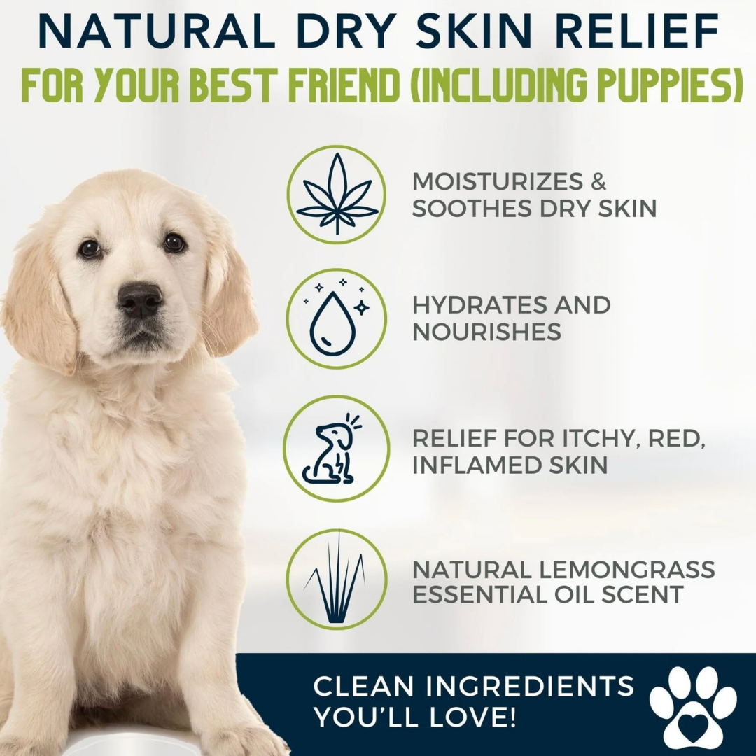 4-Legger Organic Shampoo Moisturize | Lemongrass