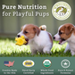 Wholistic Pet Organics Puppy Complete | Natural Whole-Food Multivitamin, Enzymes & Probiotics for Puppies