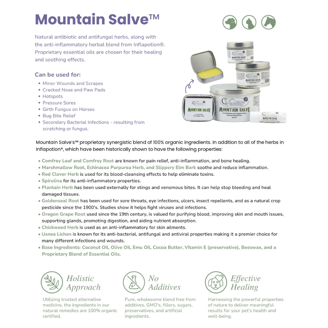 Glacier Peak Mountain Salve | Organic Healing Balm