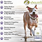 Wholistic Pet Organics Wild Arctic Krill Oil | Natural Omega-3 + Astaxanthin for Dog Skin, Coat & Heart