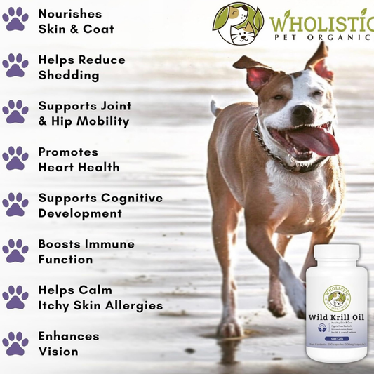 Wholistic Pet Organics Krill Oil Soft Gels | Omega-3 Fatty Acids