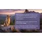 Glacier Peak Intolerance Test | Natural Sensitivity Test