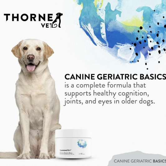 ThorneVet Canine Geriatric Basics | Senior Dog Wellness Formula