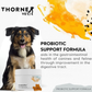 ThorneVet Probiotic Support | Soil-Based Probiotics + Sacc B + Prebiotics for Digestive Health