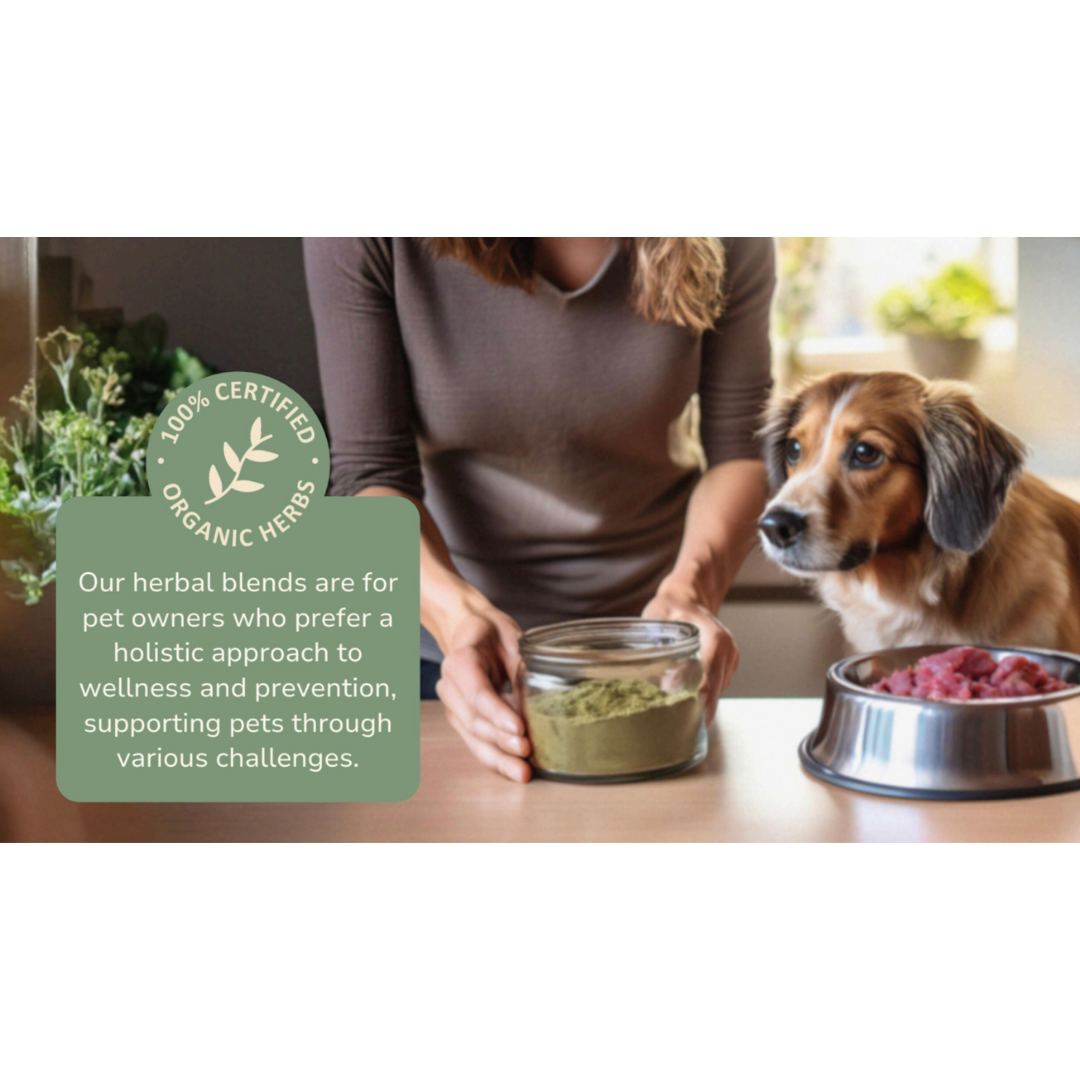 Glacier Peak Inflapotion Powder | Anti-Inflammatory