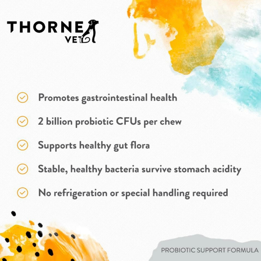 ThorneVet Probiotic Support | Soil-Based Probiotics + Sacc B + Prebiotics for Digestive Health