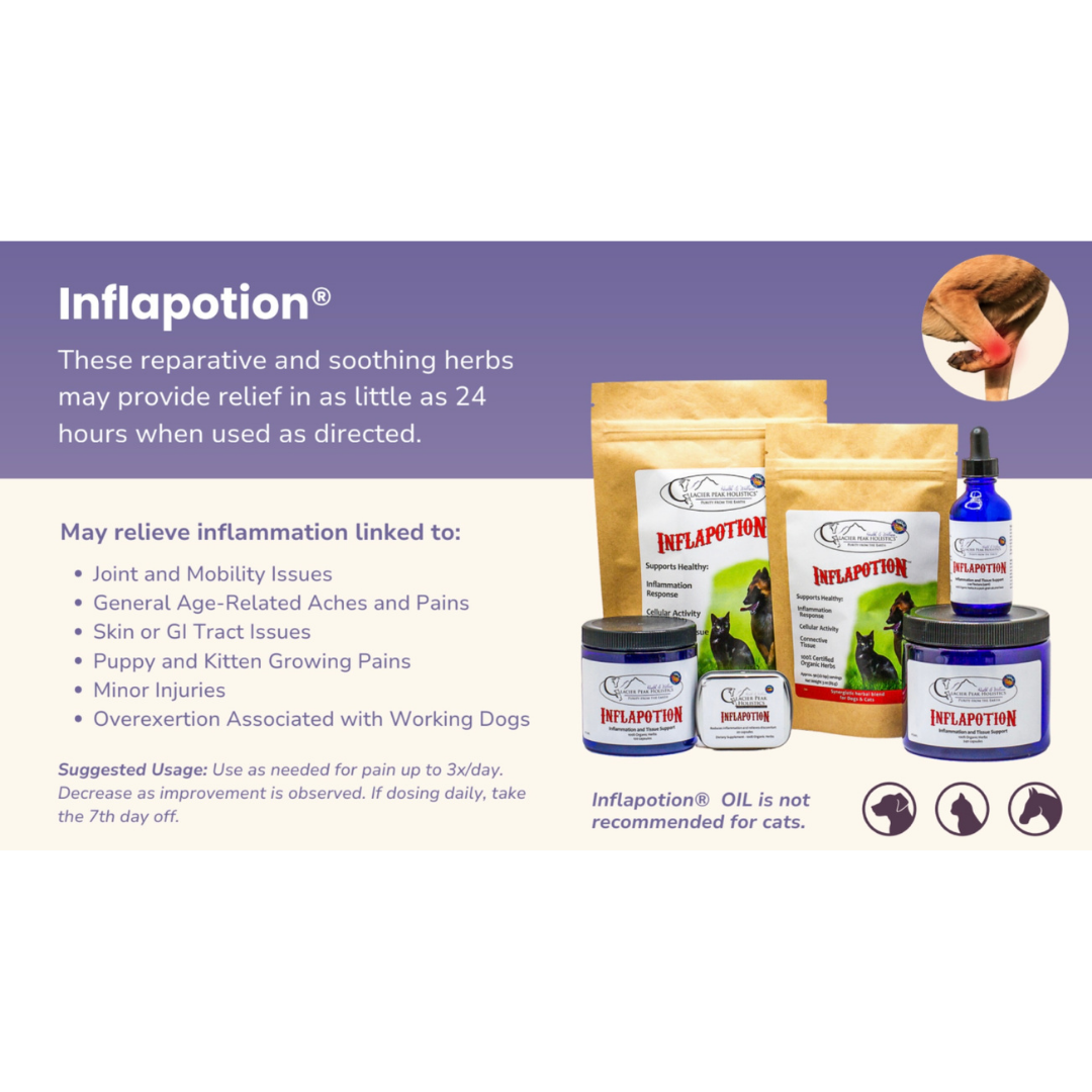 Glacier Peak Inflapotion Powder | Anti-Inflammatory