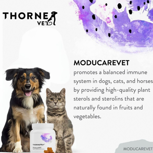 ThorneVet Moducare Chews | Immune + Allergy Support