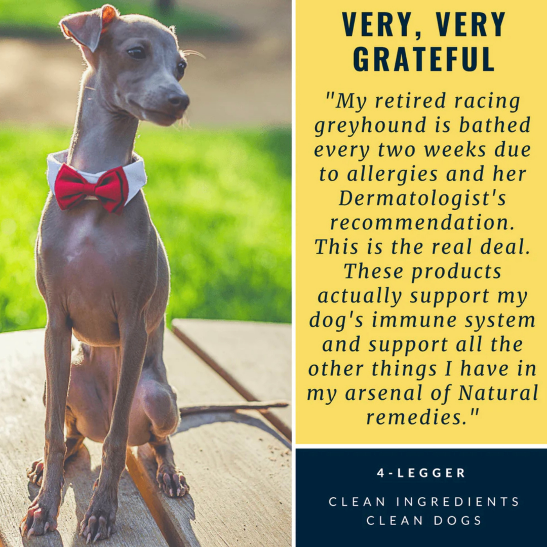 4-Legger Organic Shampoo Moisturize | Lemongrass