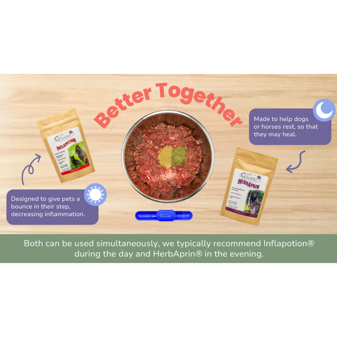 Glacier Peak Inflapotion Powder | Anti-Inflammatory