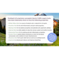 Glacier Peak HerbAprin | Herbal Pain Relief + Sleep Support