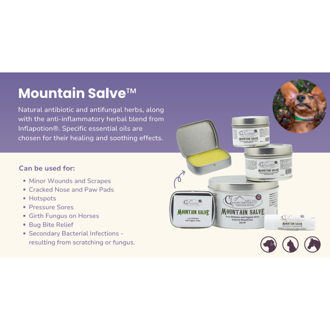 Glacier Peak Mountain Salve | Organic Healing Balm