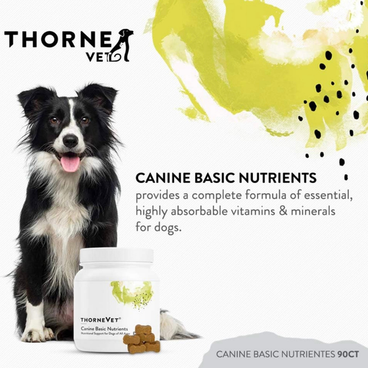 ThorneVet Canine Basic Nutrients | Comprehensive Multivitamin