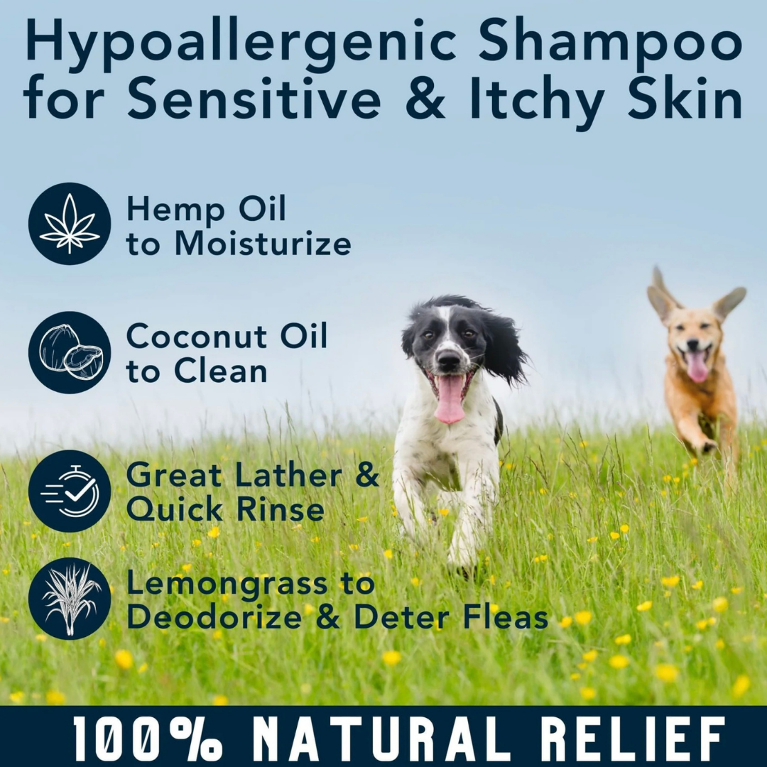 4-Legger Organic Shampoo Moisturize | Lemongrass