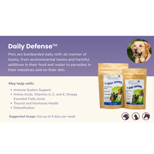 Glacier Peak Daily Defense | Natural Detox + Immune Support
