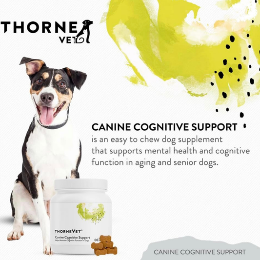 ThorneVet Canine Cognitive Support | Brain Health + Memory Support